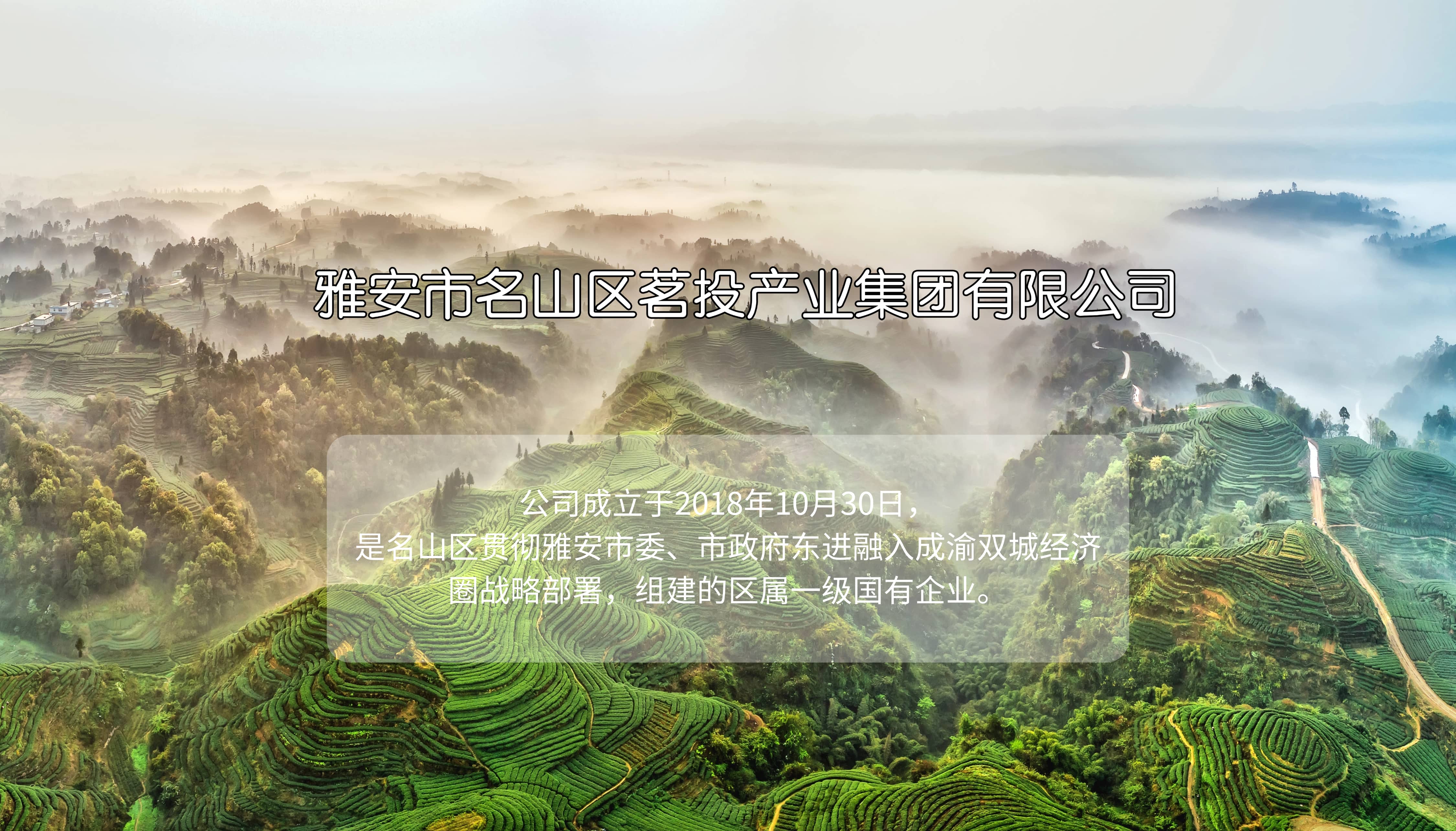 雅安市蒙頂山生態(tài)康養(yǎng)產(chǎn)業(yè)園發(fā)展有限公司